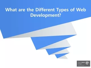 what are the different types of web development