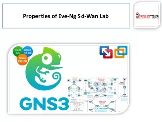Eve-ng sd-wan Lab