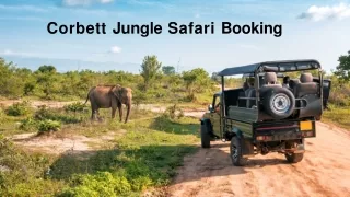Corbett Jungle Safari Booking (1)