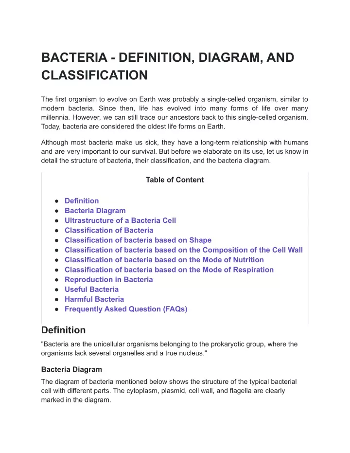 bacteria definition diagram and classification