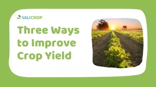 Three Ways to Improve Crop Yield | SaliCrop
