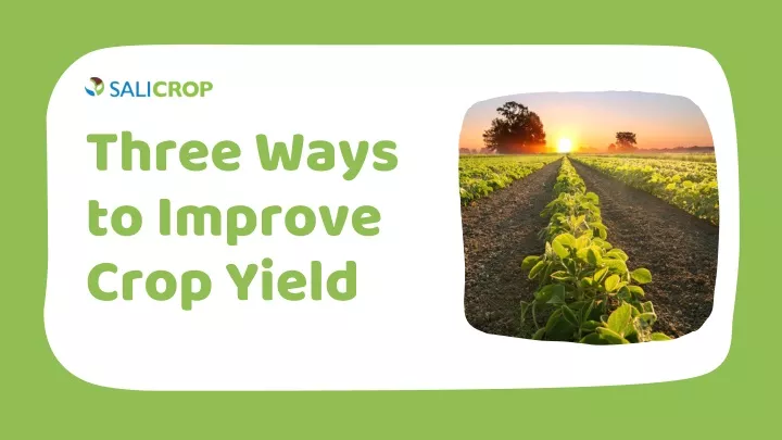 Ppt Three Ways To Improve Crop Yield Salicrop Powerpoint