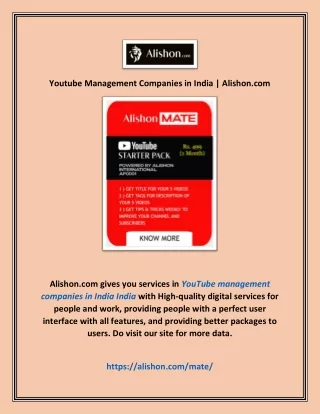 Youtube Management Companies in India | Alishon.com