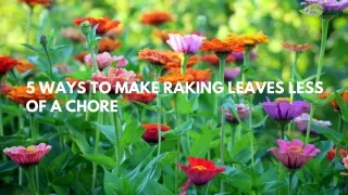 5 ways to make raking leaves less of a chore