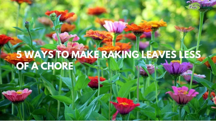 5 ways to make raking leaves less of a chore
