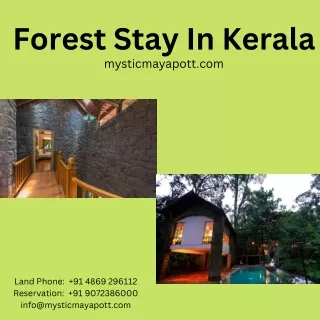 Forest Stay In Kerala | Mystic Mayapott