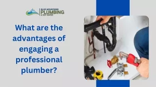 What are the advantages of engaging a professional plumber Presentation (1)