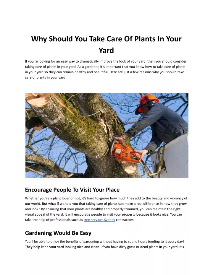 why should you take care of plants in your yard