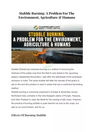 stubble burning a problem for the environment