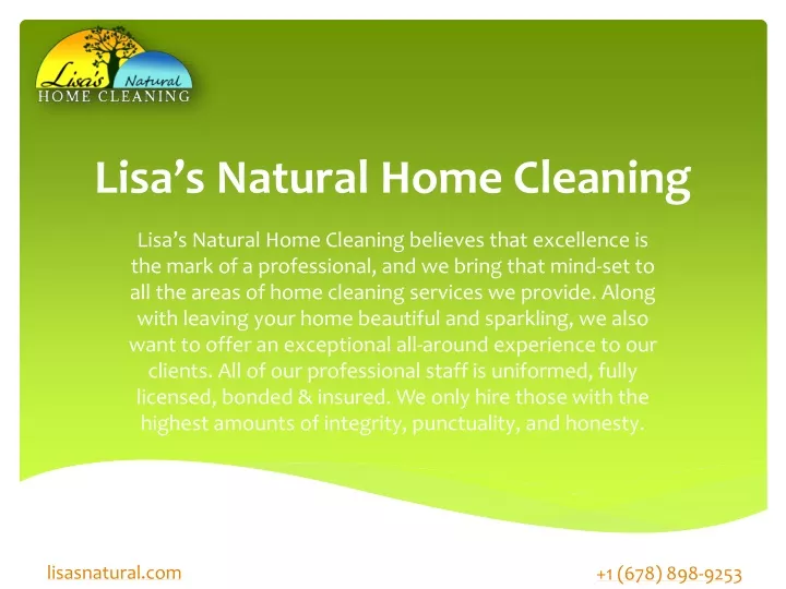 lisa s natural home cleaning
