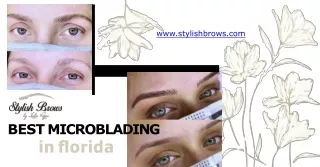 Best Microblading In Florida