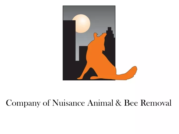 company of nuisance animal bee removal