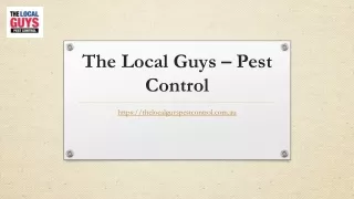 Pest Control Melbourne Eastern Suburbs | Thelocalguyspestcontrol.com.au