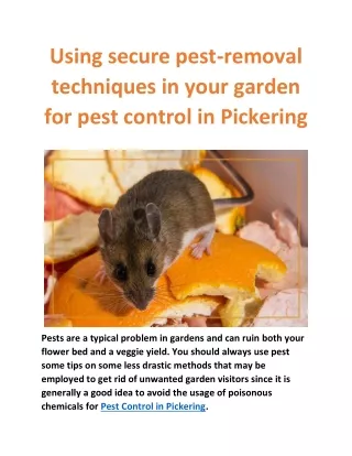 using secure pest removal techniques in your