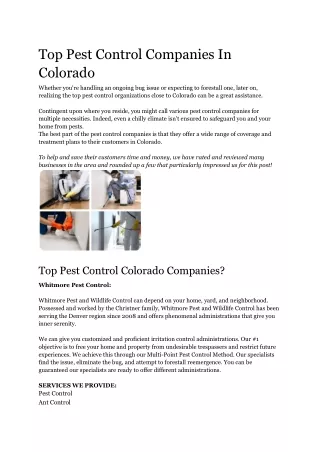 Top Pest Control Companies In Colorado