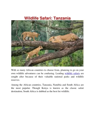 Wildlife Safari : Tanzania