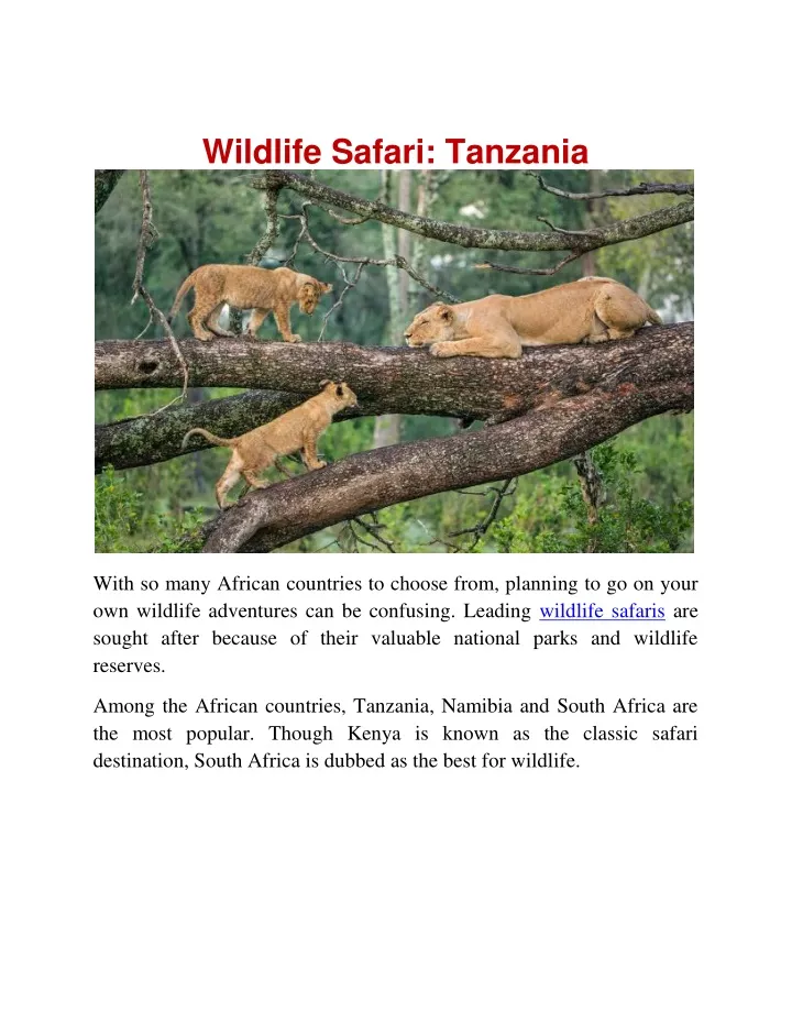 wildlife safari tanzania