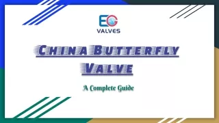 China Butterfly Valve - EG Valves