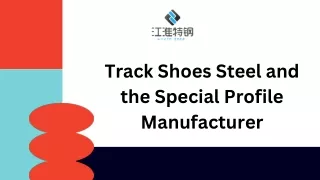 Track Shoes Steel and the Special Profile Manufacturer