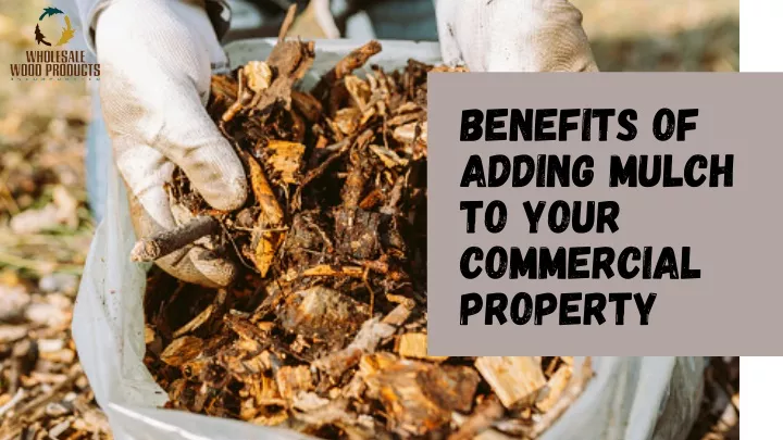 benefits of adding mulch to your commercial