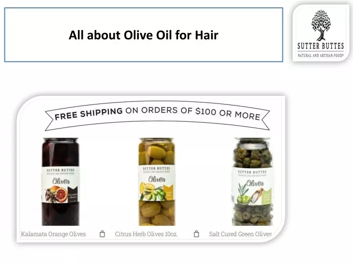 all about olive oil for hair