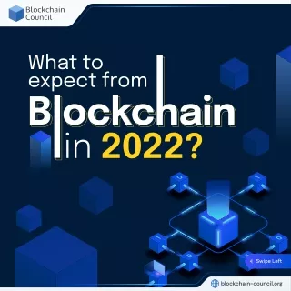 what to expect from