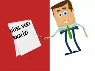 nitel veri analizi