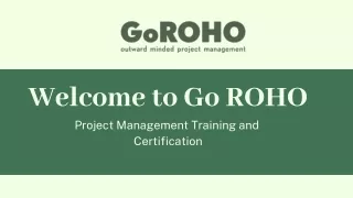 Value Stream PMO Consulting – Go ROHO