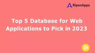 Top 5 Database for Web Applications to Pick in 2023