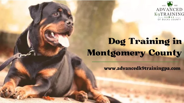 dog training in montgomery county