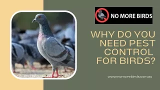 Why do you need pest control for birds