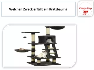 große katzenbaum