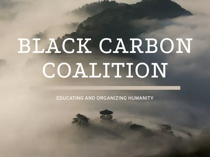 black carbon coalition