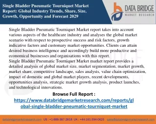 Global single bladder pneumatic touriquet market