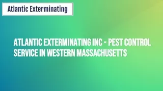 Pest control service in Western Massachusetts
