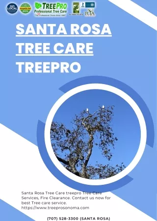 Santa Rosa Tree Care