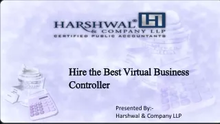 Top-Rated Virtual Business Controller Services – HCLLP