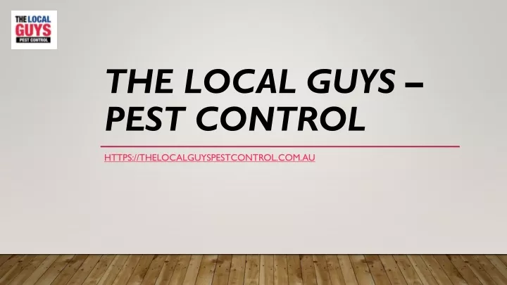 the local guys pest control