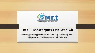 mr t f nsterputs och st d ab