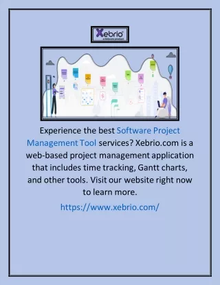 experience the best software project management