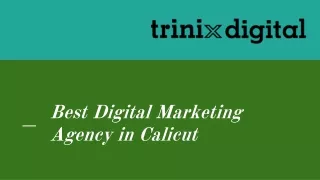 best digital marketing agency in calicut