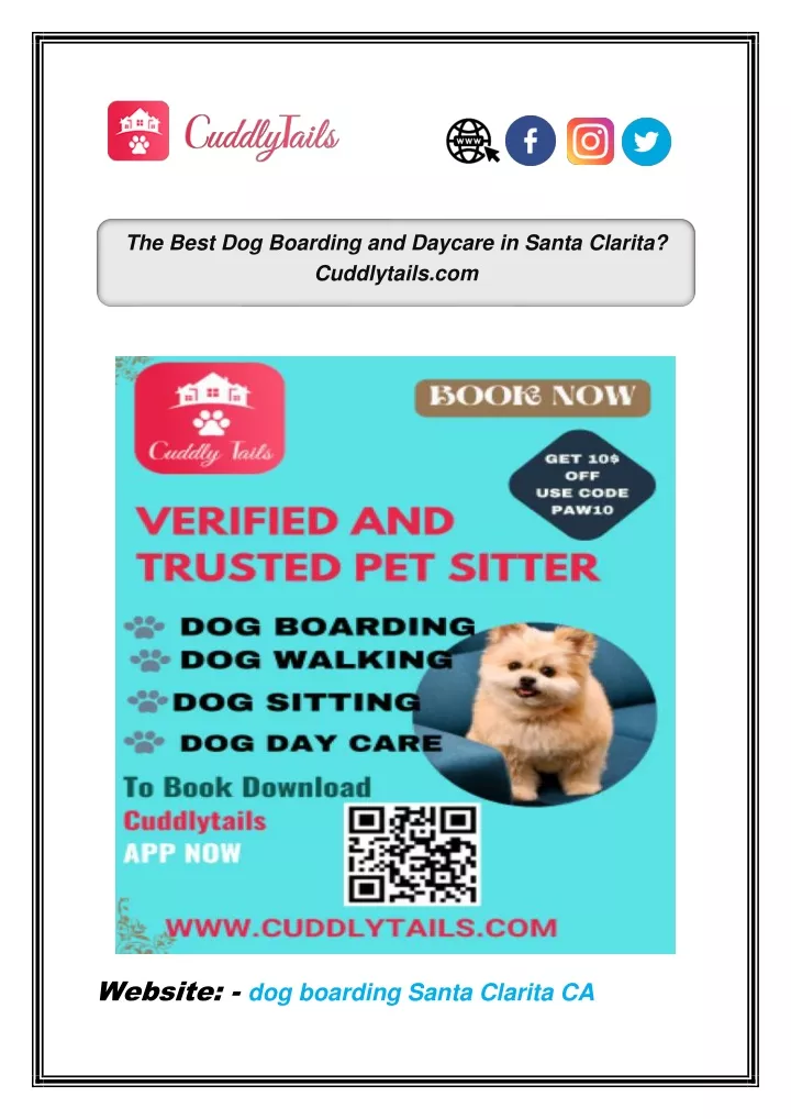 the best dog boarding and daycare in santa