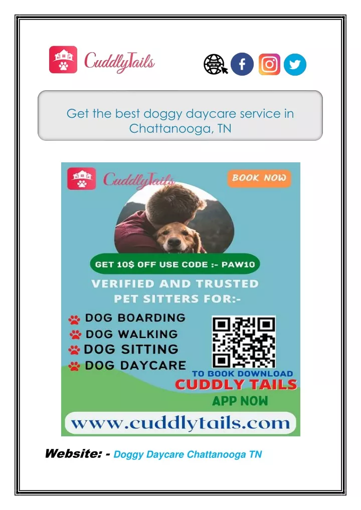 get the best doggy daycare service in chattanooga