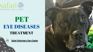 Best Treatment for Pet Eye Disease in League City TX