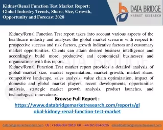 kidney renal function test market report global
