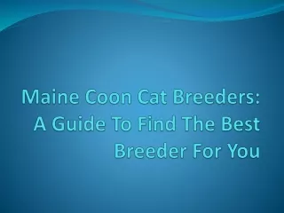 A Guide To Find The Best Breeder For You