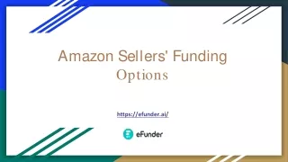 amazon sellers funding options