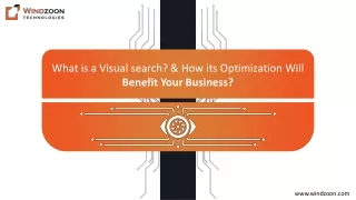 what is a visual search how its optimization will