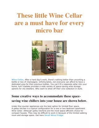 These little Wine Cellar are a must have for every micro bar