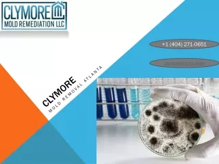 clymore